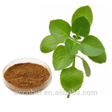 High Quality 100% Natural Certificated Organic Oregano Leaf Extract Powder